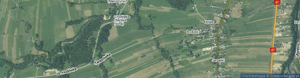 Zdjęcie satelitarne Kantorówka ul.